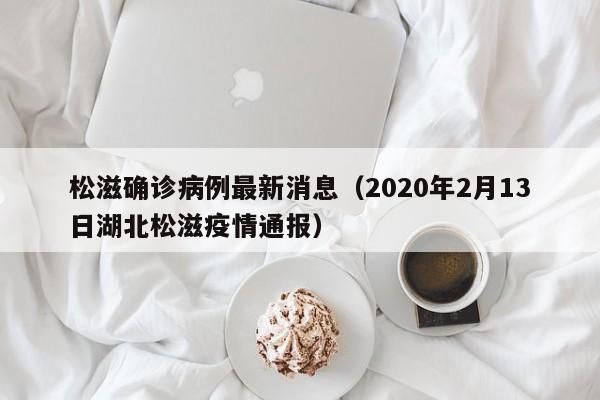 松滋确诊病例最新消息（2020年2月13日湖北松滋疫情通报）