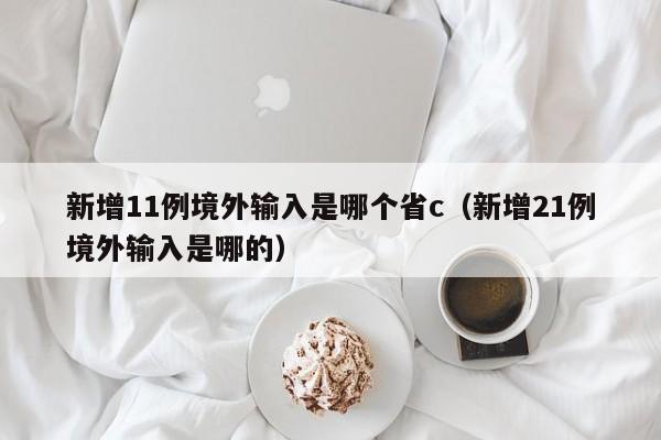 新增11例境外输入是哪个省c（新增21例境外输入是哪的）