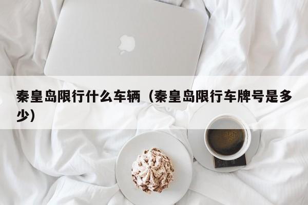 秦皇岛限行什么车辆（秦皇岛限行车牌号是多少）
