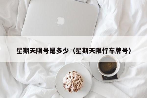 星期天限号是多少（星期天限行车牌号）