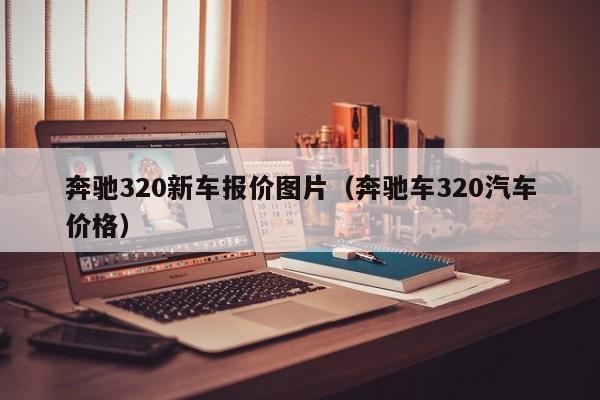 奔驰320新车报价图片（奔驰车320汽车价格）