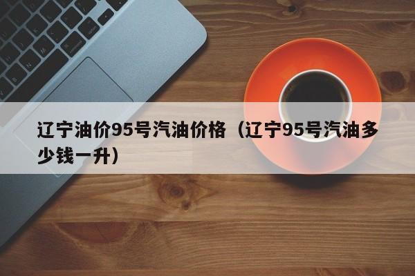 辽宁油价95号汽油价格（辽宁95号汽油多少钱一升）