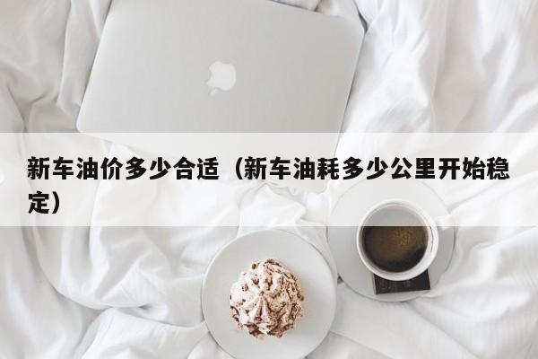 新车油价多少合适（新车油耗多少公里开始稳定）