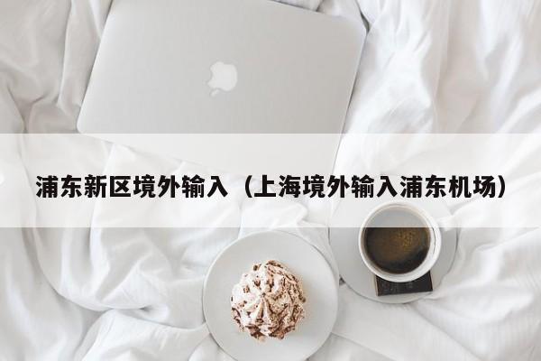 浦东新区境外输入（上海境外输入浦东机场）