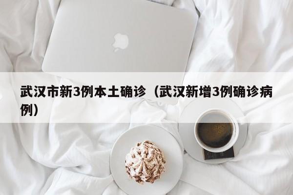 武汉市新3例本土确诊（武汉新增3例确诊病例）