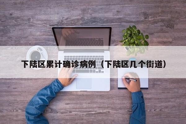下陆区累计确诊病例（下陆区几个街道）