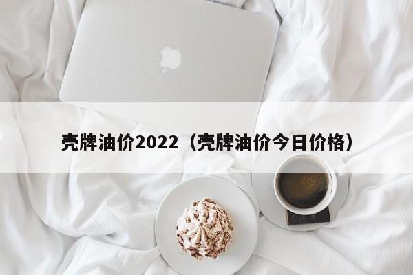 壳牌油价2022（壳牌油价今日价格）