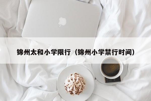 锦州太和小学限行（锦州小学禁行时间）