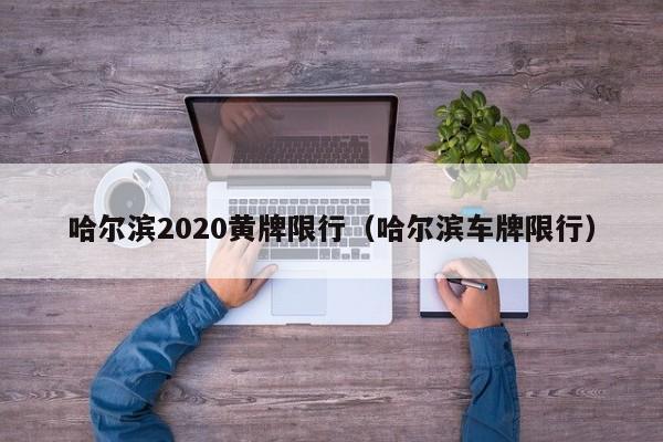 哈尔滨2020黄牌限行（哈尔滨车牌限行）